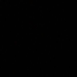 Meet your Posher, Shane